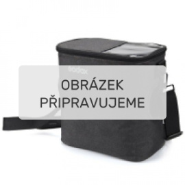 Godox CB-18 Carry Bag AD1200 Pro Flash Body