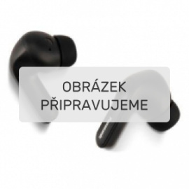 Panasonic RZ-B310WDE-K black