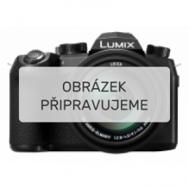 Panasonic Lumix DC-FZ1000II (DC-FZ10002EG)